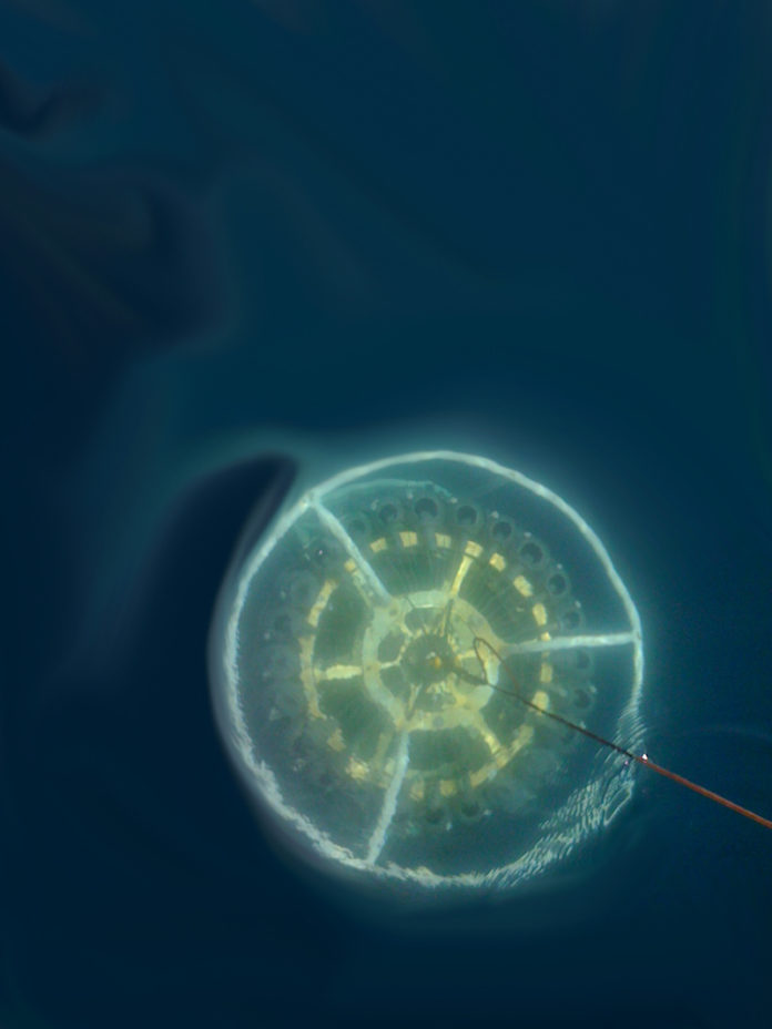 CTD e Rosette in acqua