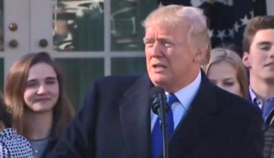 Schermata 2020-01-25 alle 12.16.51