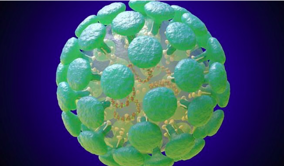 Schermata 2020-01-25 alle 14.28.13