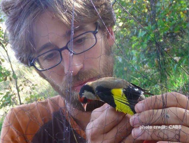 Schermata 2020-04-14 alle 12.20.30