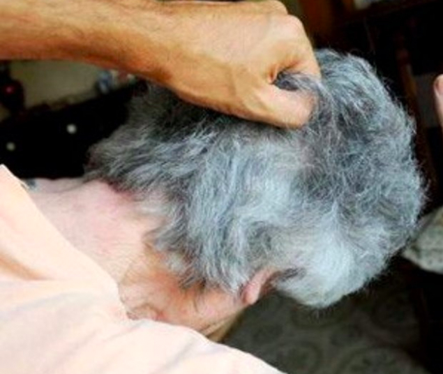 Schermata 2020-04-16 alle 11.41.43