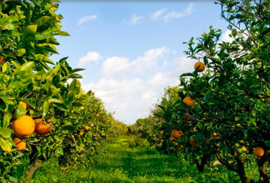 Schermata 2020-05-27 alle 20.08.02