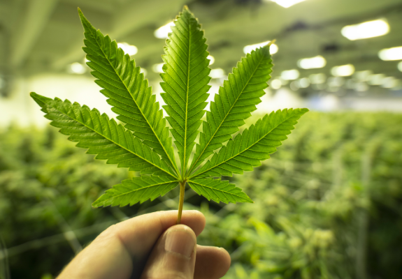 Schermata 2020-05-31 alle 16.41.22