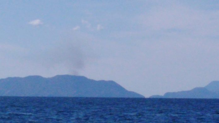 WhatsApp Image 2020-06-02 at 16.27.34